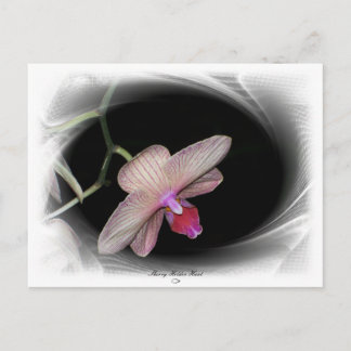 Prachtige Petals 11 Briefkaart