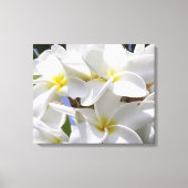 Prachtige Plumeria gewikkeld canvas (Voorkant)