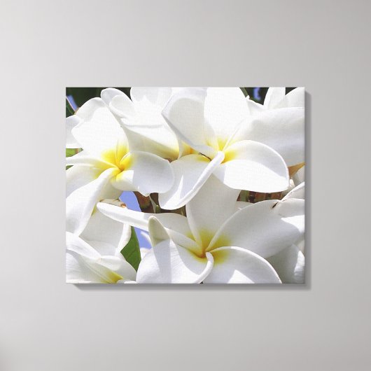 Prachtige Plumeria gewikkeld canvas Afdruk (Voorkant)