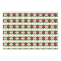 Prachtige Poinsettia Kerst