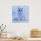 Prachtige poolvos poster (Keuken)