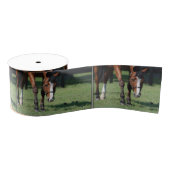 Prachtige Quarter Horse Grosgrain Lint (Spoel)