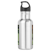 Prachtige Quarter Horse Waterfles (Achterkant)