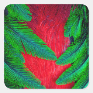 Prachtige Quetzalveerontwerp Vierkante Sticker
