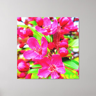 Prachtige Red Barron Crabapple Foto Canvas Afdruk