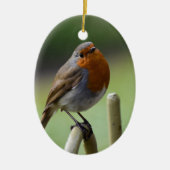 Prachtige Robin Keramisch Ornament (Voorkant)