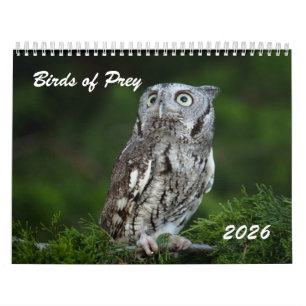 Prachtige roofvogels 2026 foto kalender