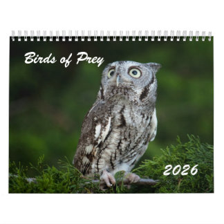 Prachtige roofvogels 2026 foto kalender