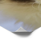 Prachtige rookkast met blauwe ogen poster (Hoek)