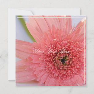 Prachtige roze chrysanthemum Jouw tekst platte Kaa