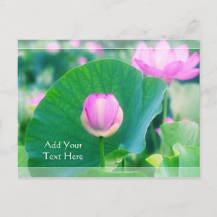 Prachtige roze Lotus Bud Flower Green Leaf Blossom Briefkaart