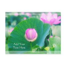 Prachtige roze Lotus Bud Flower Green Leaf Blossom