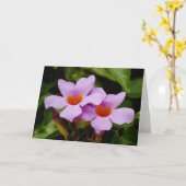 Prachtige roze Mandevilla Flowers Note Card Kaart (Gele Bloem)