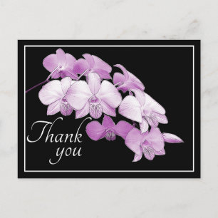 Prachtige Roze Orchideeën Zwarte Achtergrond Dank Briefkaart