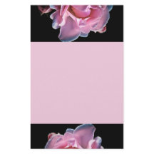 Prachtige roze roze roze op zwart