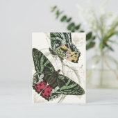 Prachtige roze roze vlinders briefkaart (Staand voorkant)