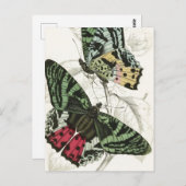 Prachtige roze roze vlinders briefkaart (Voorkant / Achterkant)