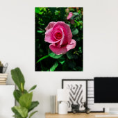 Prachtige roze rozenbloem poster afbeelding (Thuiskantoor)