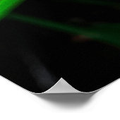 Prachtige roze rozenbloem poster afbeelding (Hoek)