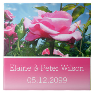 Prachtige roze rozenbloemen huwelijksjubileum tegeltje