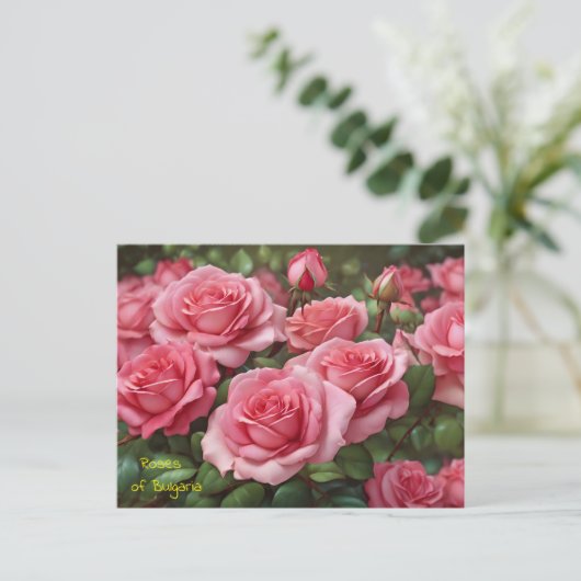 Prachtige Rozen van Bulgaria Briefkaart (Staand voorkant)