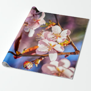 Prachtige Sakura Blossom Cadeaupapier