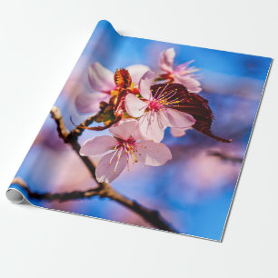 Prachtige Sakura Blossom Cadeaupapier