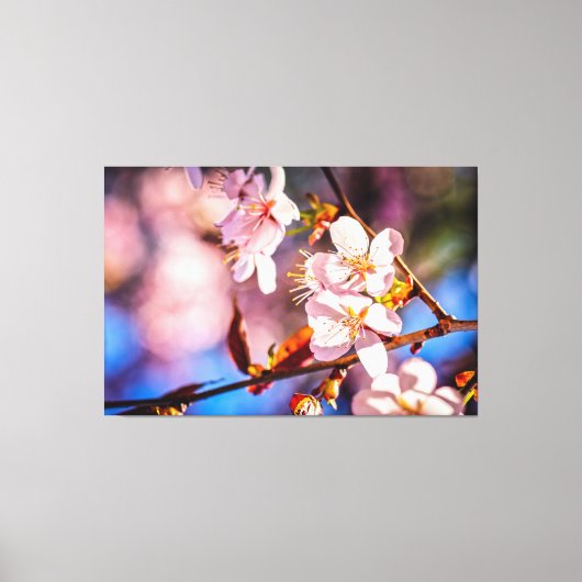 Prachtige Sakura Blossom Canvas Afdruk (Voorkant)
