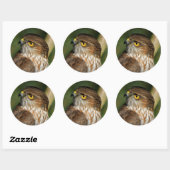 Prachtige shap-Shinned Hawk komt uit A-Callin' Ronde Sticker (Vel)
