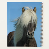 Prachtige Shetland Pony Planner (Achterkant)