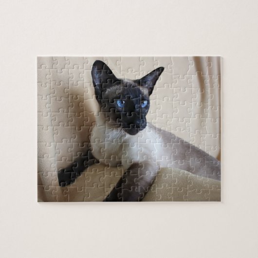 Prachtige Siamese Cat Face Legpuzzel (Horizontaal)