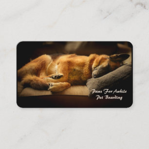 Prachtige Sleeping German Shepherd op Couch Visitekaartje