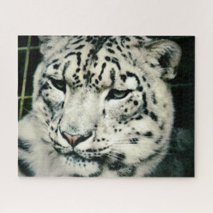 Prachtige Snow Leopard Legpuzzel