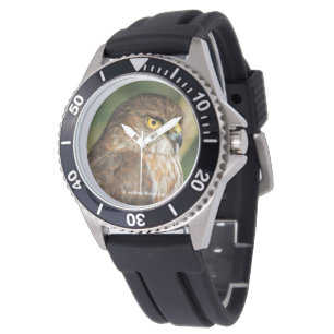 Prachtige Sperwer Komt Op Bezoek Horloge