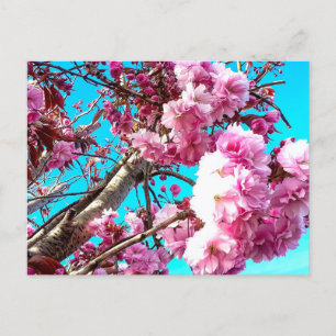 Prachtige Spring Cherry Blossom Digital Painting Briefkaart