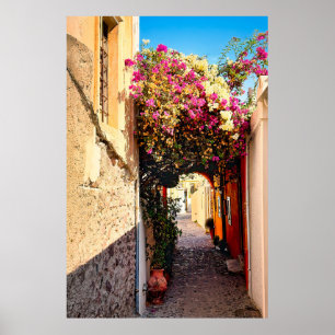 Prachtige steegje in Santorini, Griekenland Poster