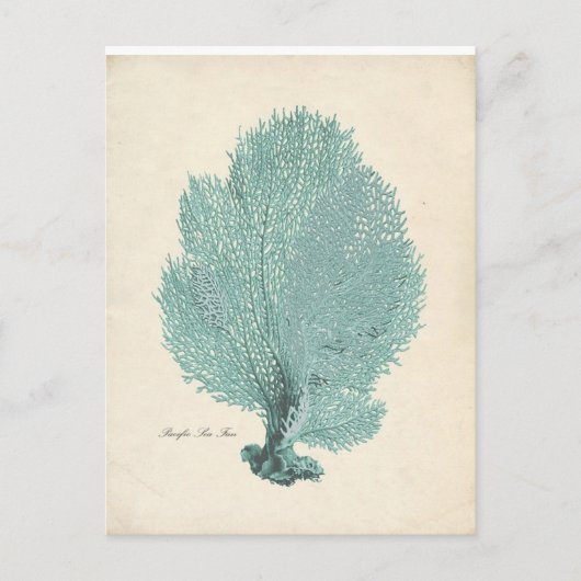 Prachtige Turquoise/Aqua Pacific Zee Fan Briefkaart (Voorkant)