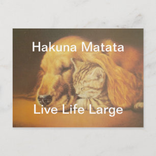 Prachtige verbazingwekkende kat en hond knuffelen briefkaart