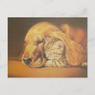 Prachtige verbazingwekkende kat en hond knuffelen briefkaart