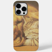 Prachtige verbazingwekkende kat en hond knuffelen Case-Mate iPhone case (Achterkant)