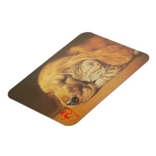 Prachtige verbazingwekkende kat en hond knuffelen magneet