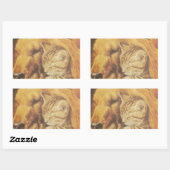 Prachtige verbazingwekkende kat en hond knuffelen rechthoekige sticker (Vel)