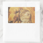 Prachtige verbazingwekkende kat en hond knuffelen rechthoekige sticker (Tas)
