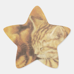 Prachtige verbazingwekkende kat en hond knuffelen  ster sticker