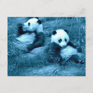 Prachtige verbazingwekkende Panda's Briefkaart