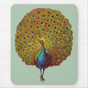 prachtige Victoriaans paukafdruk Muismat