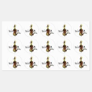 Prachtige viool labels