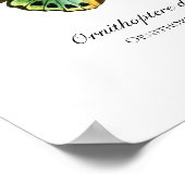 Prachtige  vlinderafdrukken poster (Hoek)