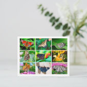 Prachtige vlinders collage Briefkaart (Staand voorkant)