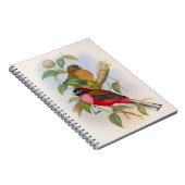 Prachtige vogelillustratie kleurrijk notitieboek (Rechterzijde)